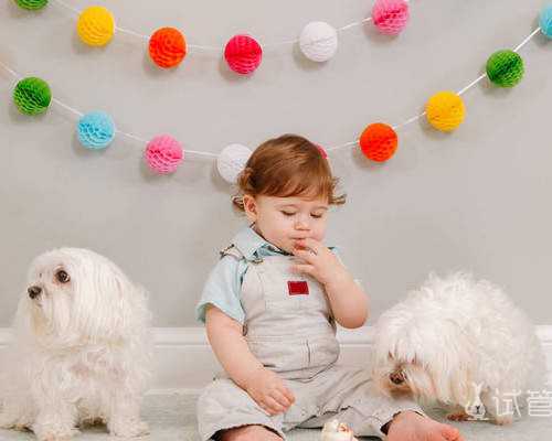 了解试管婴儿相关法规,为生育梦想筑牢法律防线