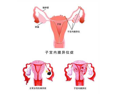 湖北地区有多家助孕公司?附机构最新排名
