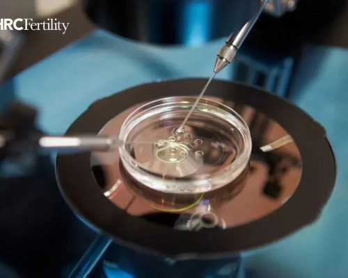 33岁了可以捐献卵子吗&供卵合法化问题,女性备孕前生女孩要吃哪些酸性水果?