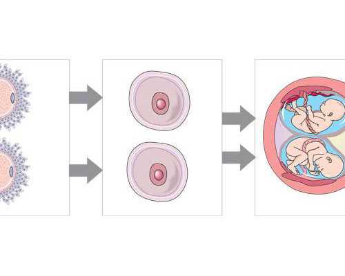 促排卵药物费用高吗？