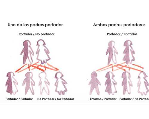 那里做代孕成功率高&选什么样的女孩供卵,2026咸宁试管婴儿医院排名，附生殖助
