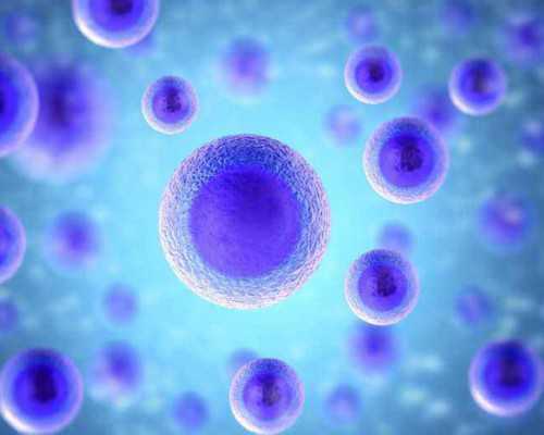 试管动态郑州三大助孕公司是哪些?