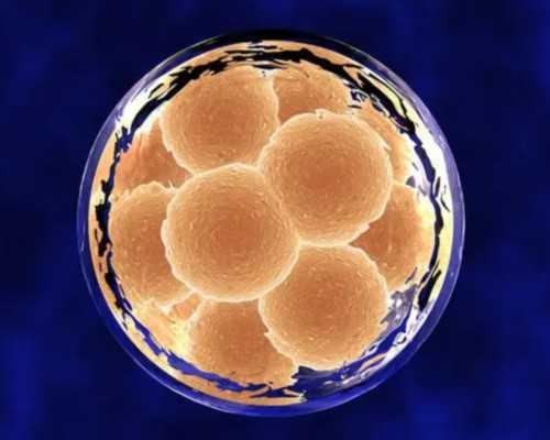 国内正规试管机构无忧助孕