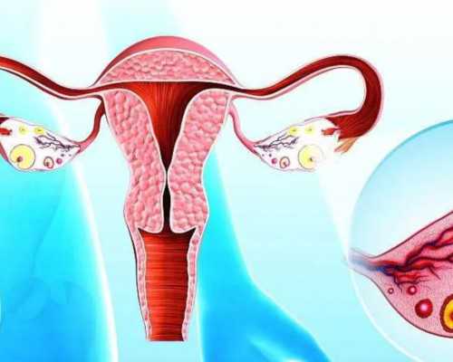 试管妈妈黄体功能保养食疗方案