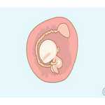 广东三代试管婴儿私立医院排名揭晓_广东哪家医院可以做三代试管！