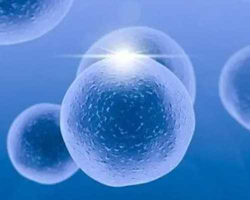 科学认识试管与胎儿畸形风险