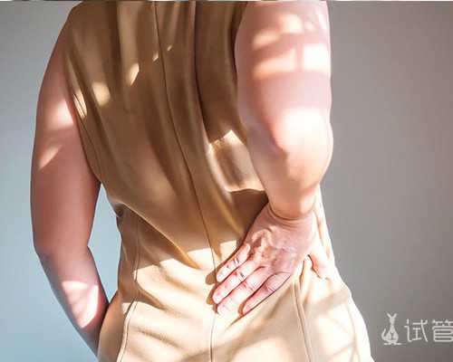 正规试管助孕包男孩大概多少钱