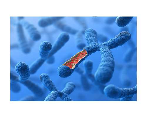 试管周期黄体支持：不可忽视的关键步骤