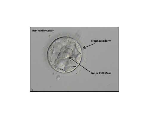 女性健康养生图文介绍图片