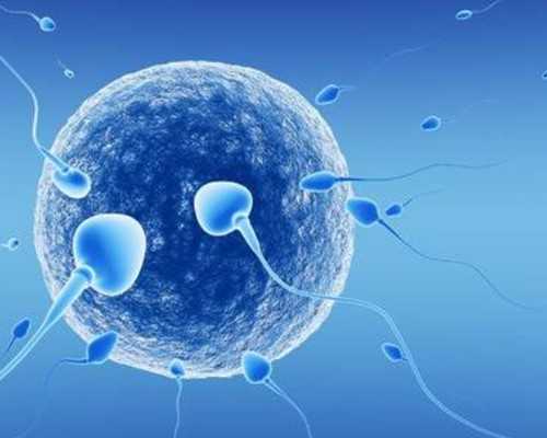 广州做试管的全部费用(广州做试管的费用)