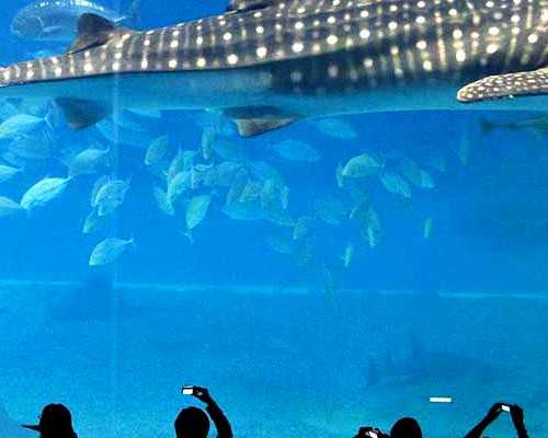 了解试管婴儿法律条款，避免陷入法律纠纷