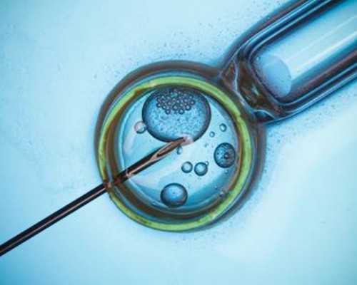 黄体支持与试管成功率关系