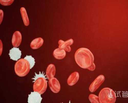 试管精子质量评估标准