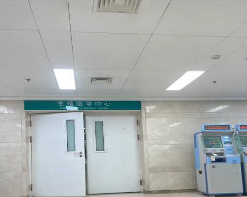 试管精子选择标准