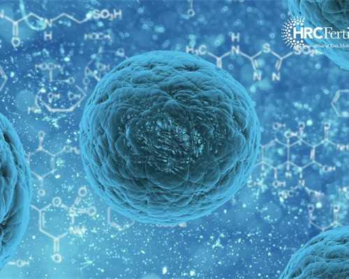 黄体功能与试管妊娠率关系