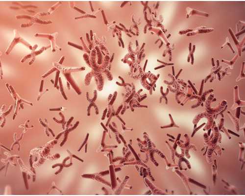 试管宝宝畸形能查出来吗?