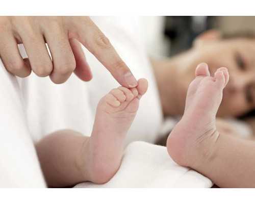 30岁多囊做试管成功率&供卵可以自己找吗,高龄女性备孕需要怎么调理身体-这三