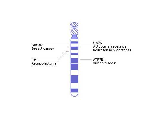 无精症患者试管期间的心理状态对成功率的影响