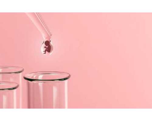 广州高龄供卵平台,广州附属三院做试管费用(北京三院试管流程价格)_试管要