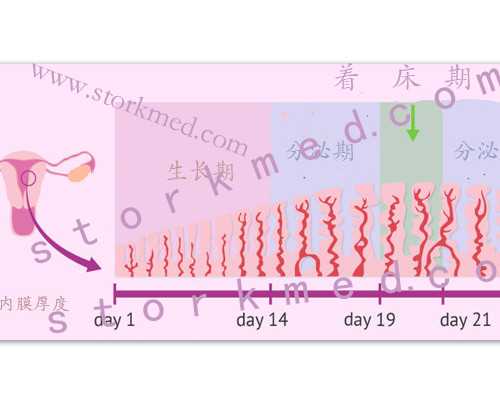 时代生物科技()有限公司&弱精试管成功高吗,备孕检查子宫内膜璧偏薄怎么办?