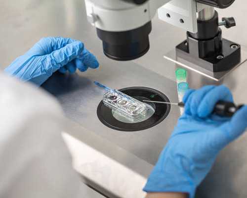 广州零风险代孕价格,试管婴儿有什么坏处、风险?_试管移植后停了肠溶片影响