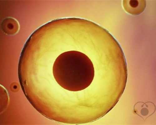 试管宝宝畸形与药物有关吗？