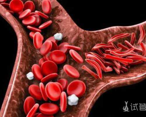 广州最佳代怀网,广州东俊试管婴儿公司,广州胡浩俊