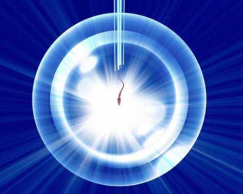 精子活力与试管婴儿