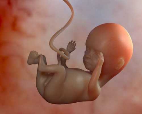 试管助孕如何降低畸形风险?