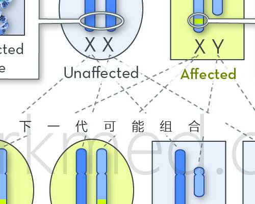 从北京供卵试管到四代试管：辅助生殖技术的发展历程与未来趋势