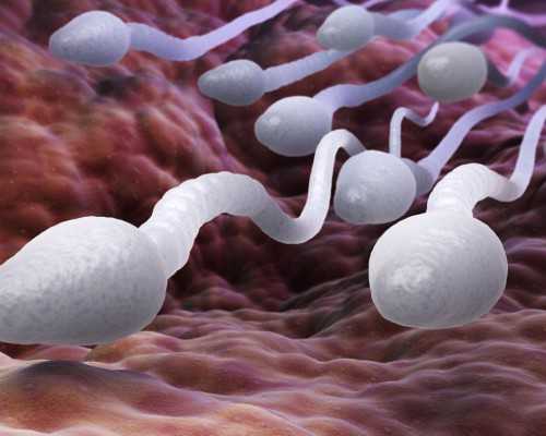 南昌专业供卵试管公司优质服务