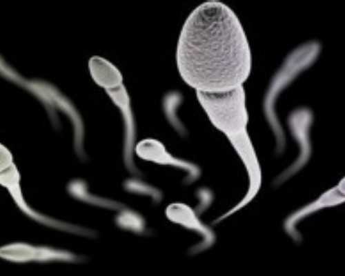 揭秘:哪些因素会左右试管婴儿的成功率?