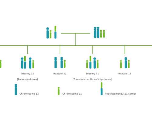 从他们的经历中汲取力量:试管婴儿成功经验大集合