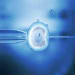 A套餐-供卵试管代怀~胎停育治疗方法