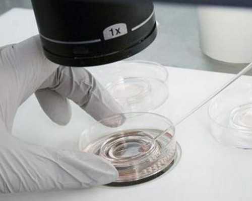 黄体支持不足导致的试管失败案例