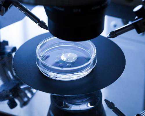 36岁试管想打生长激素&亲戚供卵合法吗,备孕时发现患有子宫肌瘤,是先怀孕还