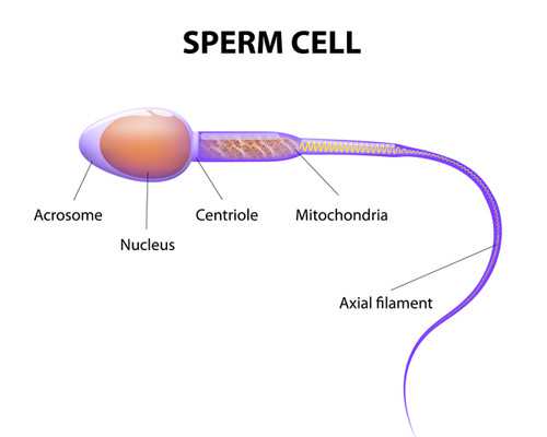28岁做试管成功率大吗&供卵在中国合法吗,女性不孕不育的基本检查项目及流程