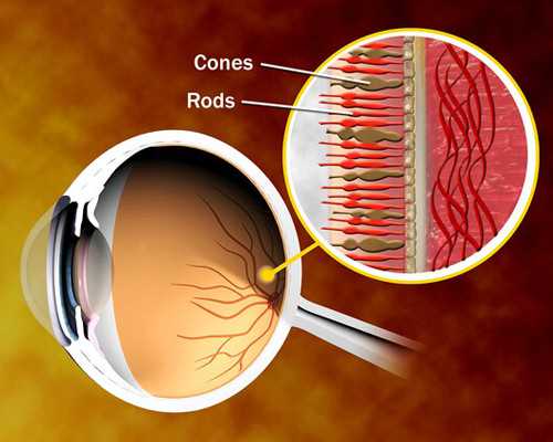 广州做代孕的公司,求靠谱的中介电话去香港验血_胎儿性别几天出可以出结果