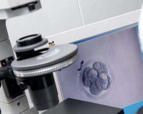 广州代怀孕公司吗,广州紫荆医院试管婴儿,广州中山大学附属第一医院