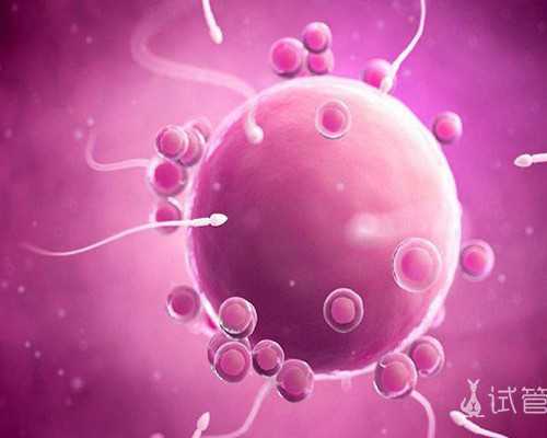 黄体功能异常患者的试管前预处理