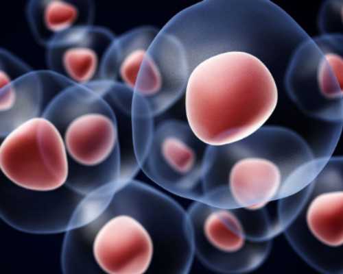 试管知识:黄体功能不全的早期症状识别指南