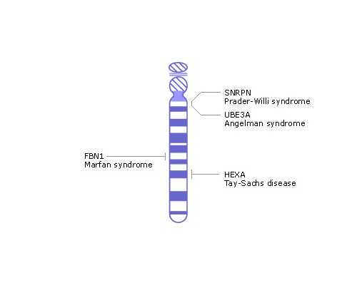 北京四代试管的研究进展:不断推动生殖医学的进步