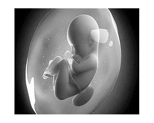 试管婴儿医保政策解读