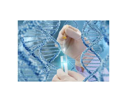 广州代怀孕网站,北京的民营生殖医院可以做供卵试管吗?2026
供卵试管费用明细