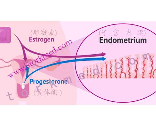 多少个卵泡做试管是标准的