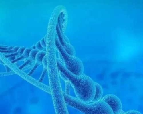 广州做代孕最好的公司,试管婴儿鲜胚移植后几天能测出怀孕_孕妇梦见蛇在手上