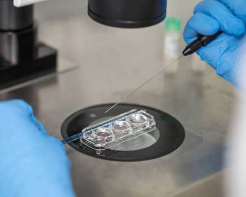 代生孩子中介~试管移植42天是多少周，移植42天相当于怀孕多久