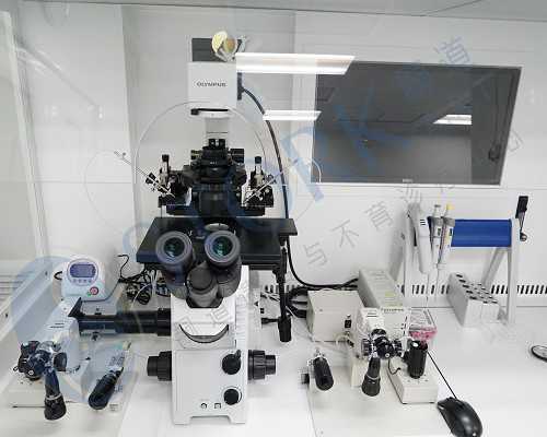 广东哪里有做试管婴儿的医院专家推荐(广东做试管婴儿最好的医院排名)